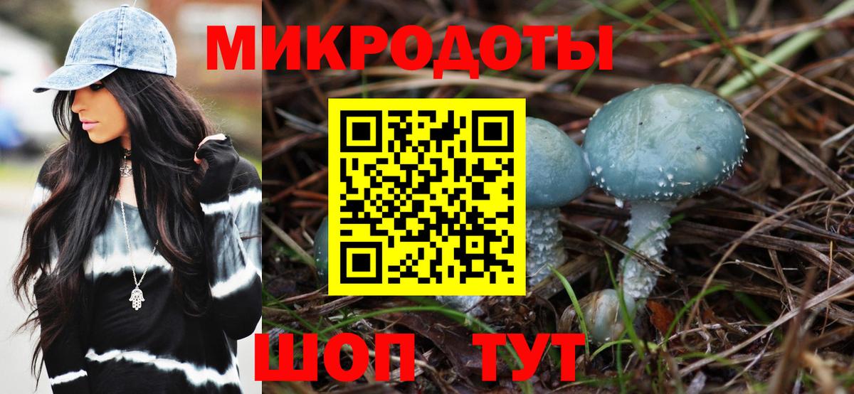 Галлюциногенные грибы Psilocybe Верхняя Салда