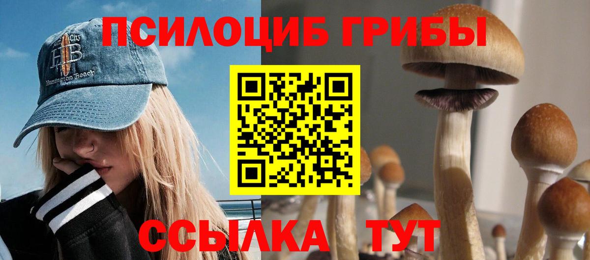 Галлюциногенные грибы прущие грибы  Вход с VPN  Верхняя Салда 